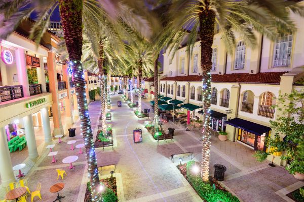 Considerations When Changing Use of a Leased Commercial Space (SearsTown Center, Sears Gardens Mall at Palm Beach)