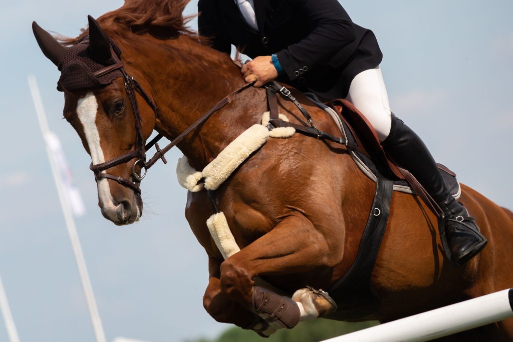 World’s Best Jumpers Arriving for WEF - Palm Beach - Rabideau Klein